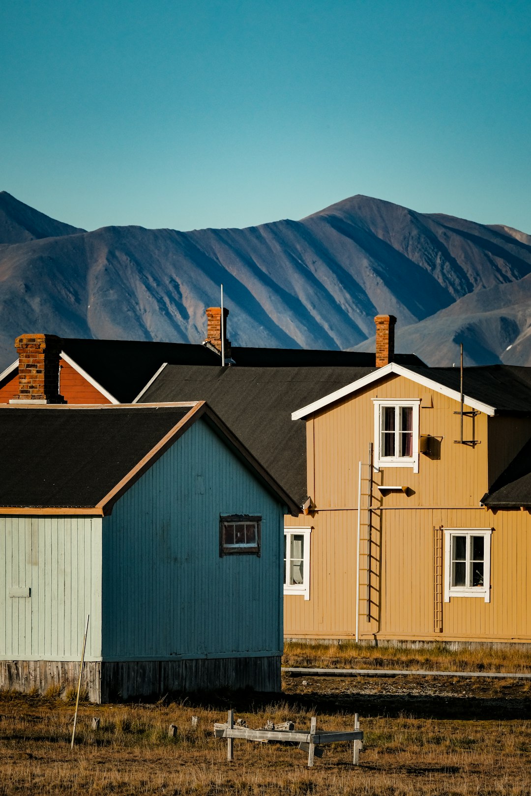 Picture of חמדאן ג'לולי