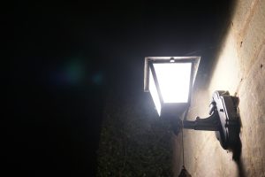 מועמדים חדשים לאוסקר: הסרטים הישראלים שתפסו את השיח