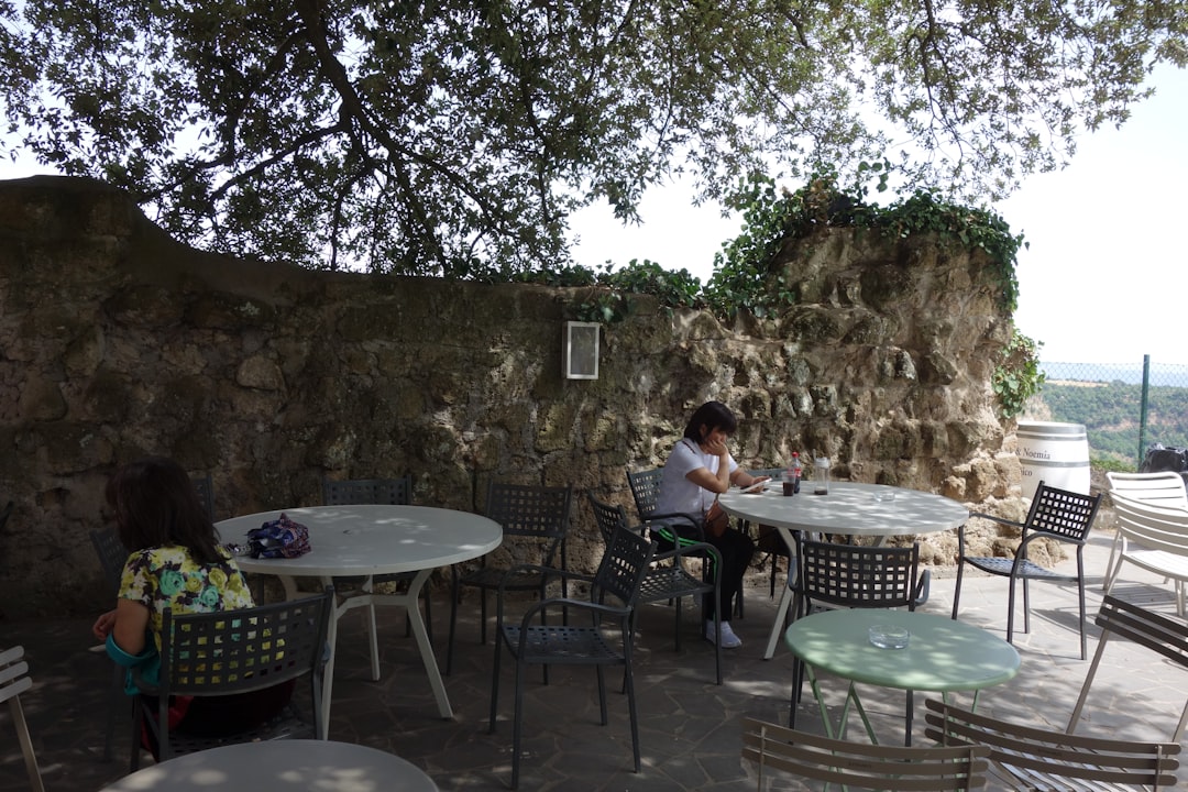 השפעת הרשתות החברתיות על חיי היום-יום בישראל